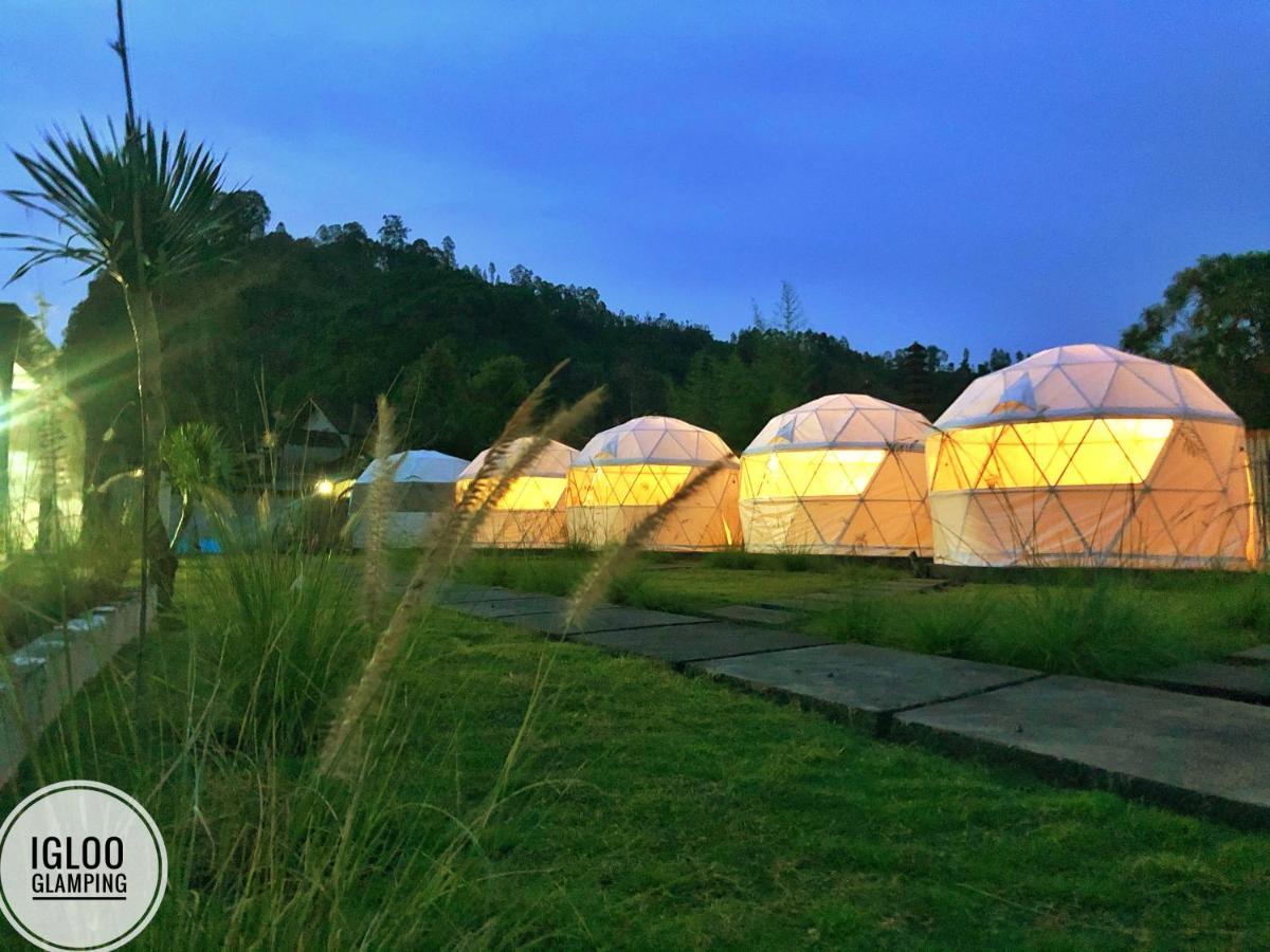 Igloo Glamping Bali Hotell Kintamani Eksteriør bilde