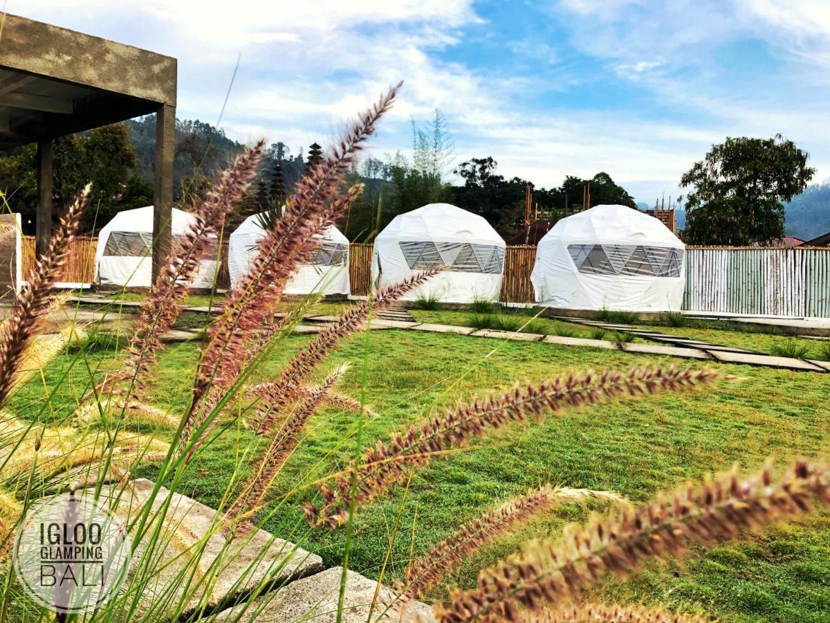 Igloo Glamping Bali Hotell Kintamani Eksteriør bilde