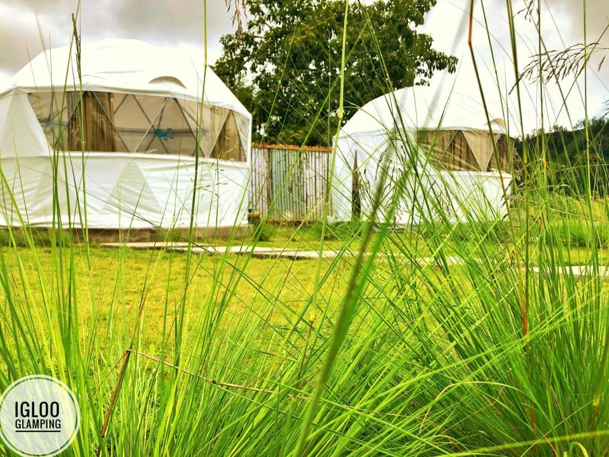 Igloo Glamping Bali Hotell Kintamani Eksteriør bilde